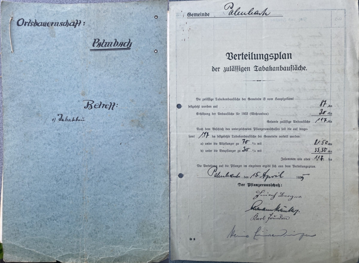 Tabakanbauflächenverteilung Palmbach 1935